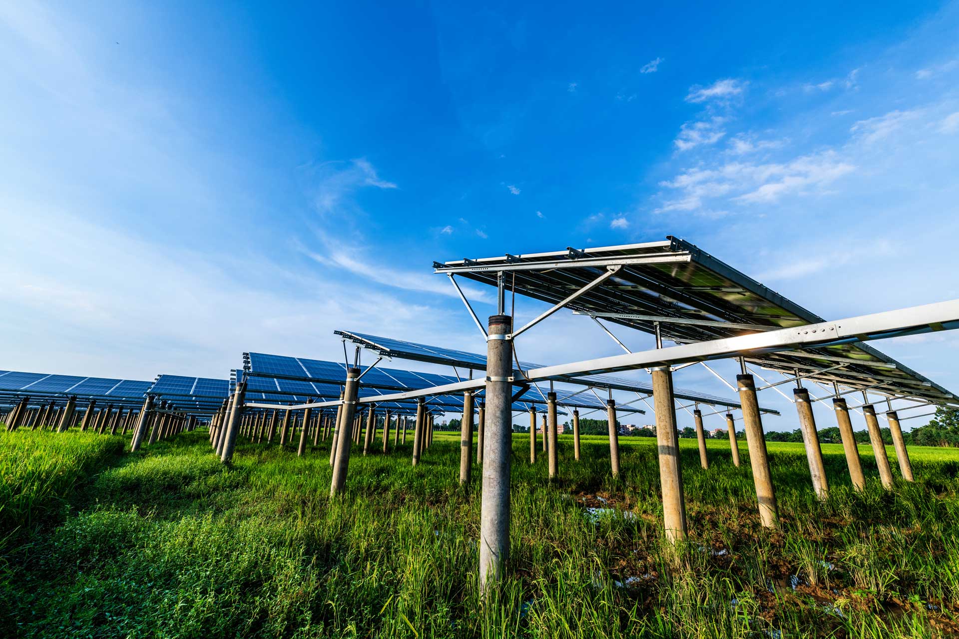Agrivoltaico Lazio: opportunità per aziende agricole ed energetiche