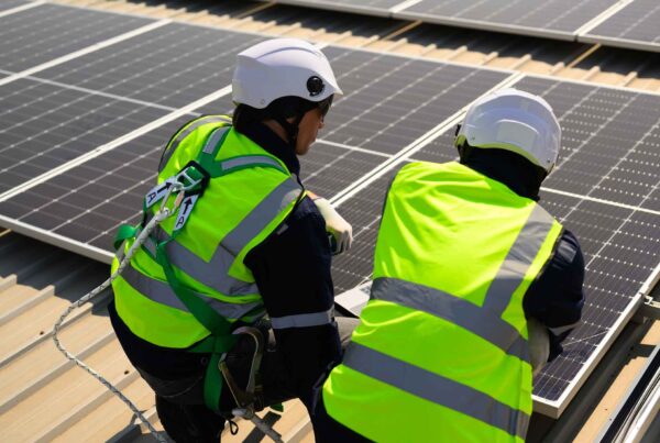 Fotovoltaico Azienda Prima e Dopo | Risparmio, ROI e Competitività